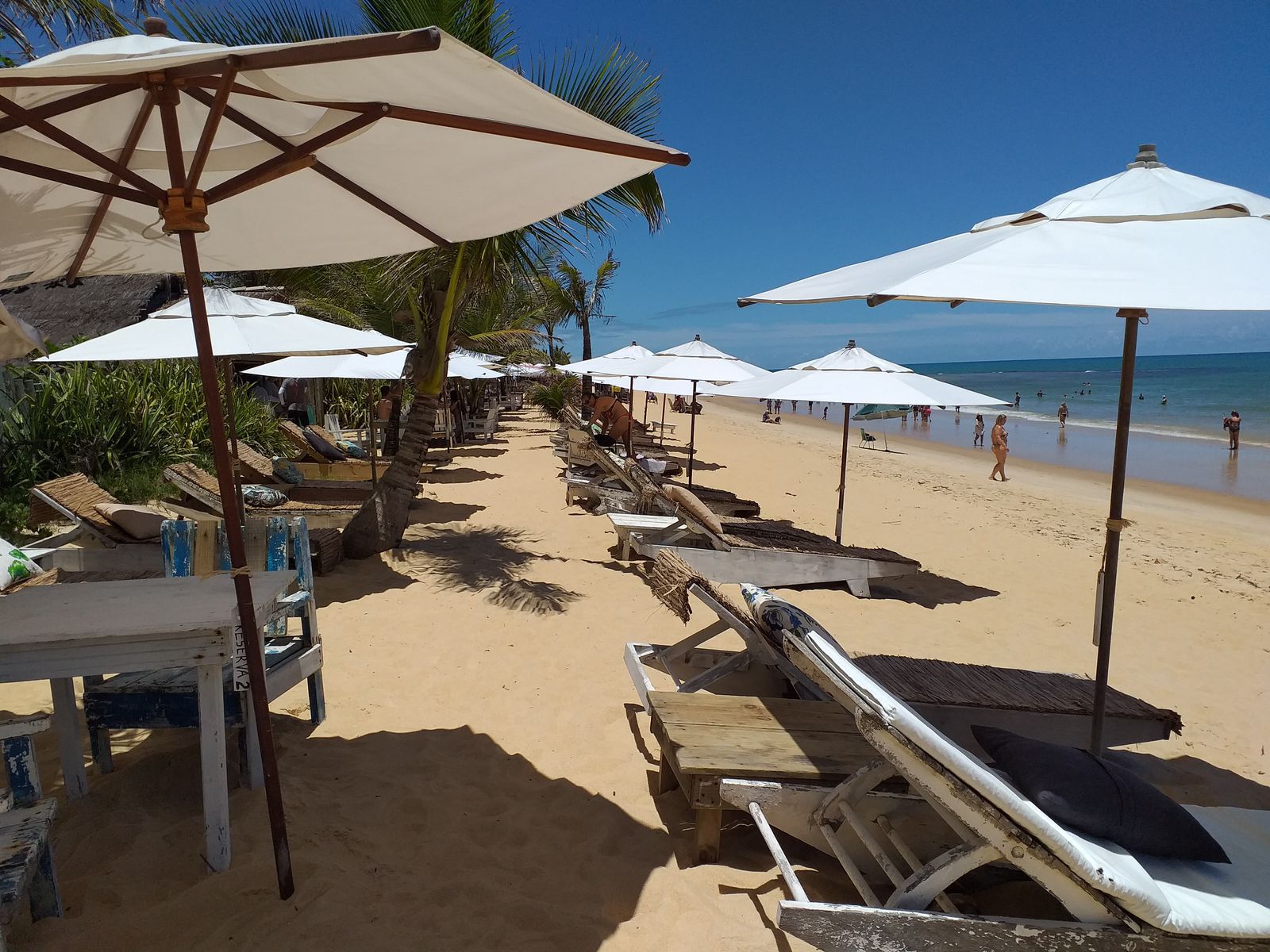 Decisão sobre reintegração de posse de área de praia em Trancoso é de responsabilidade do Judiciário, esclarece Prefeitura de Porto Seguro 5