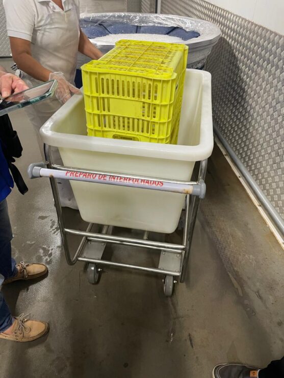 Vigilância Sanitária atua com blitz em hipermercados de Eunápolis 9