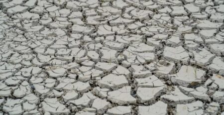 5 cidades baianas têm situação de emergência decretada por conta da estiagem 5 cidades baianas têm situação de emergência decretada por conta da estiagem 128