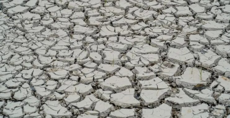 5 cidades baianas têm situação de emergência decretada por conta da estiagem 4