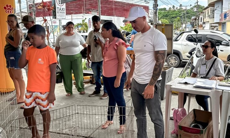 Adoção responsável ganha força em Porto Seguro com feira que garante 23 novos lares 13