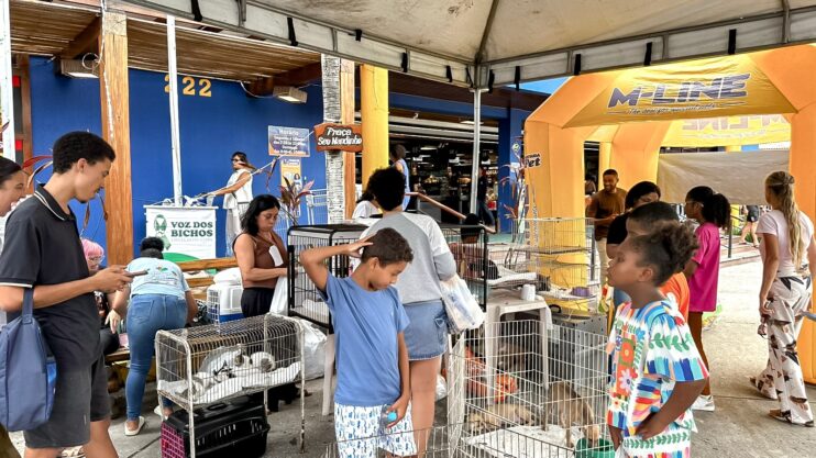 Adoção responsável ganha força em Porto Seguro com feira que garante 23 novos lares 12