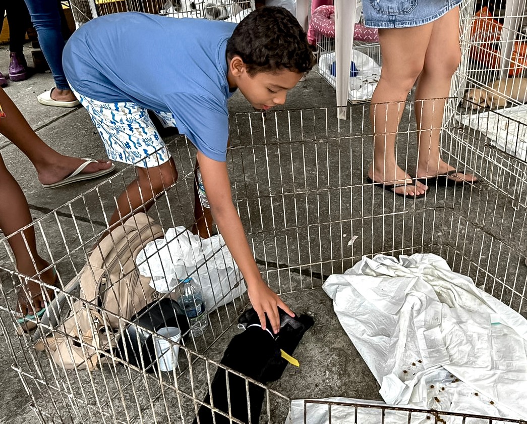 Adoção responsável ganha força em Porto Seguro com feira que garante 23 novos lares 7