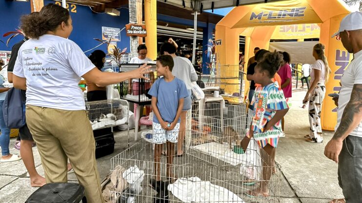 Adoção responsável ganha força em Porto Seguro com feira que garante 23 novos lares 10