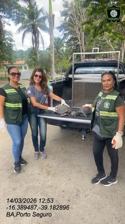 Semac intensifica resgates de animais silvestres em Porto Seguro 18