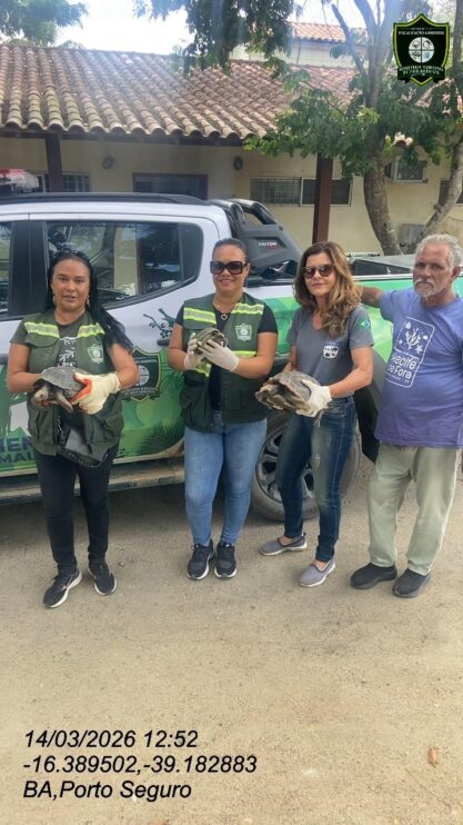 Semac intensifica resgates de animais silvestres em Porto Seguro 19
