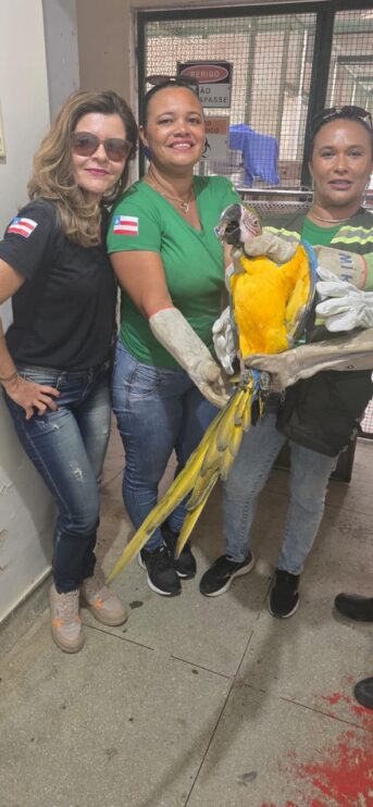 Semac intensifica resgates de animais silvestres em Porto Seguro 12