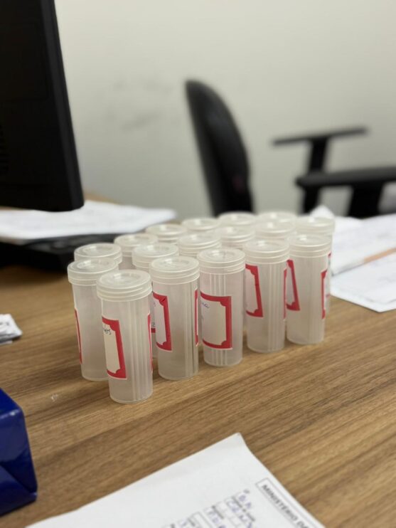 Saúde preventiva fortalece cuidado com mulheres em Porto Seguro 13