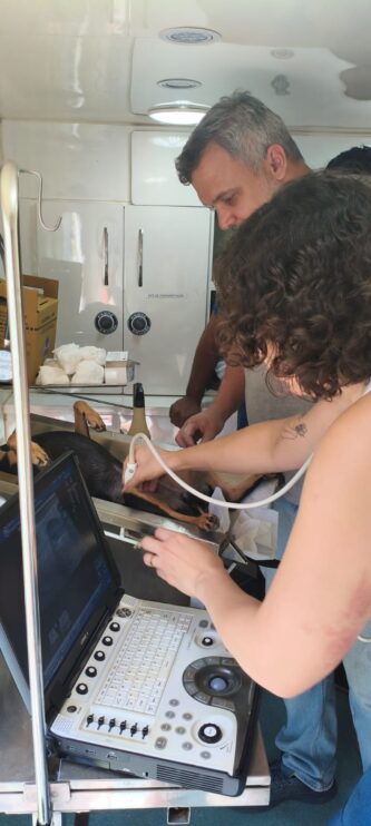 WhatsApp Image 2026-03-31 at 17.50.29 (1) Secretaria do Meio Ambiente realiza atendimentos veterinários, vacinações e castrações em Porto Seguro 14