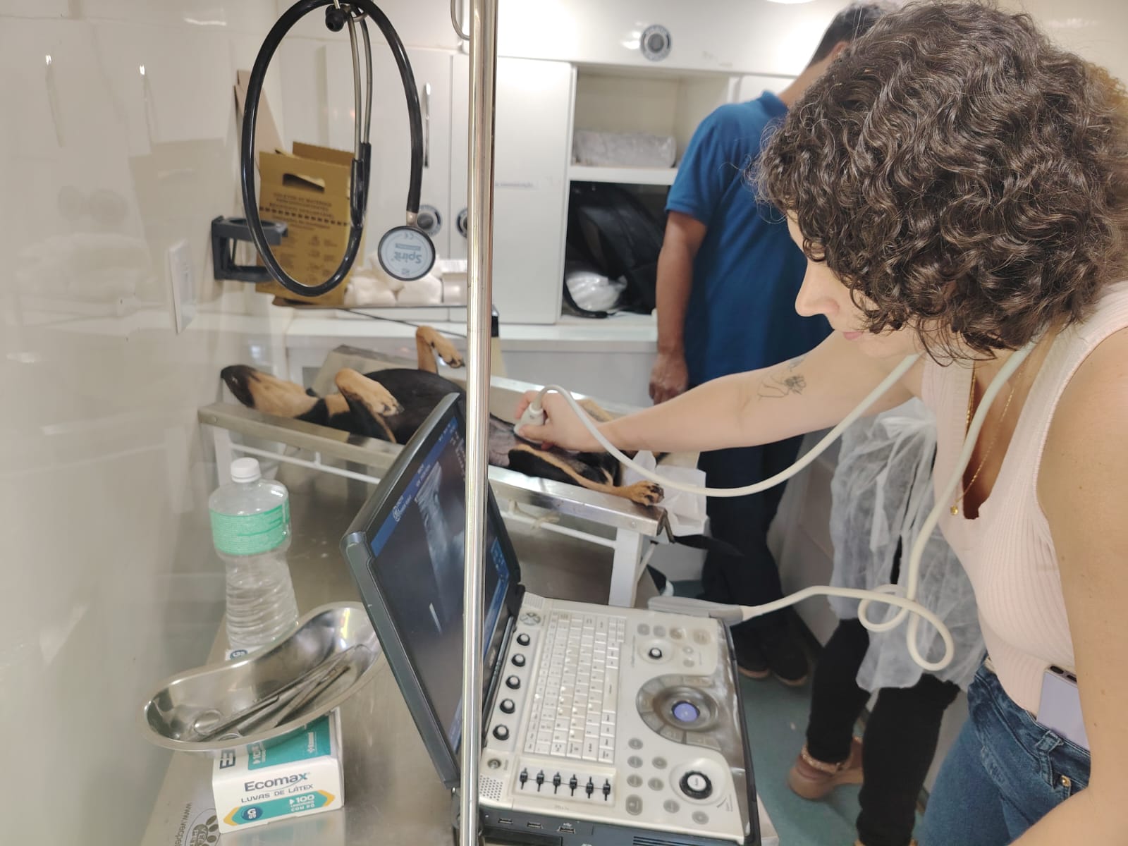 Secretaria do Meio Ambiente realiza atendimentos veterinários, vacinações e castrações em Porto Seguro 7