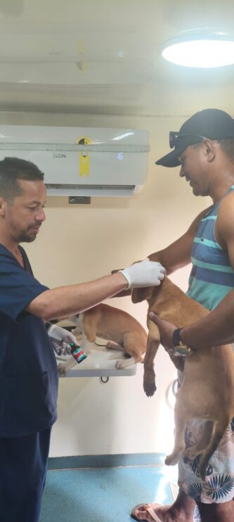 WhatsApp Image 2026-03-31 at 17.50.29 (3) Secretaria do Meio Ambiente realiza atendimentos veterinários, vacinações e castrações em Porto Seguro 12