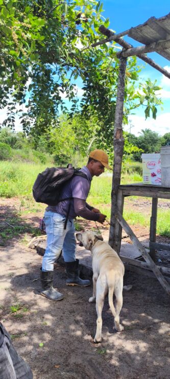 WhatsApp Image 2026-03-31 at 17.50.29 Secretaria do Meio Ambiente realiza atendimentos veterinários, vacinações e castrações em Porto Seguro 15