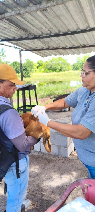 WhatsApp Image 2026-03-31 at 17.50.30 (1) Secretaria do Meio Ambiente realiza atendimentos veterinários, vacinações e castrações em Porto Seguro 10