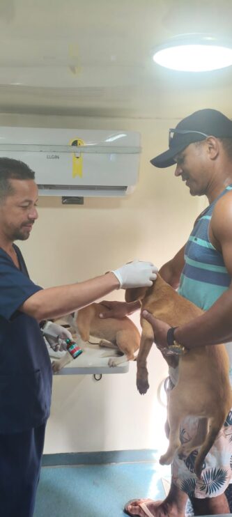 WhatsApp Image 2026-03-31 at 17.50.30 Secretaria do Meio Ambiente realiza atendimentos veterinários, vacinações e castrações em Porto Seguro 11