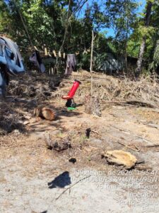 Fiscalização ambiental embarga área por desmatamento irregular em Caraíva, em Porto Seguro 1