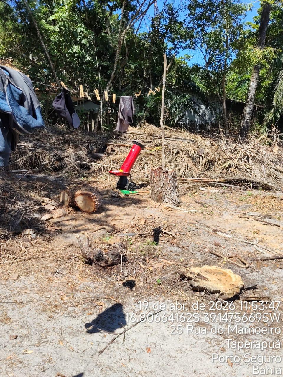 Fiscalização ambiental embarga área por desmatamento irregular em Caraíva, em Porto Seguro 4