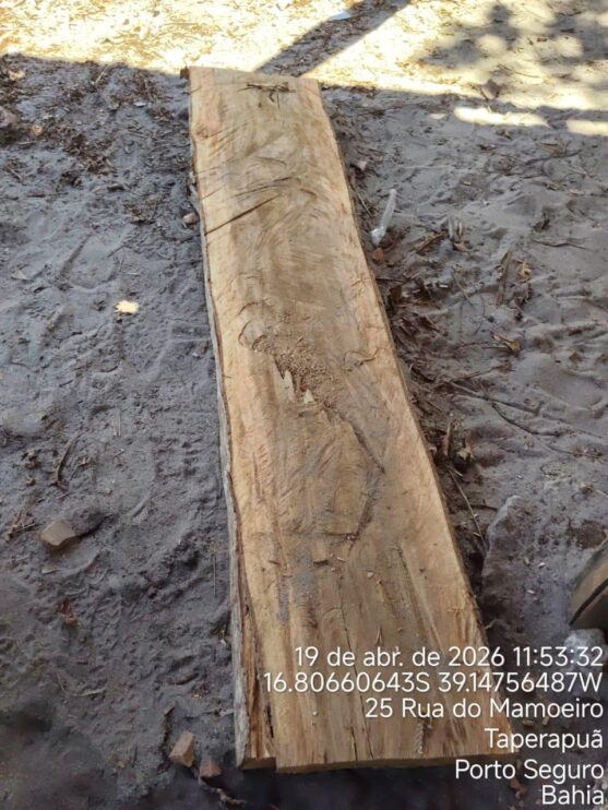 Fiscalização ambiental embarga área por desmatamento irregular em Caraíva, em Porto Seguro 18