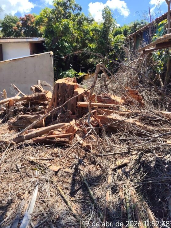 Fiscalização ambiental embarga área por desmatamento irregular em Caraíva, em Porto Seguro 17