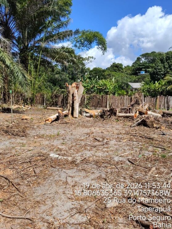 Fiscalização ambiental embarga área por desmatamento irregular em Caraíva, em Porto Seguro 19