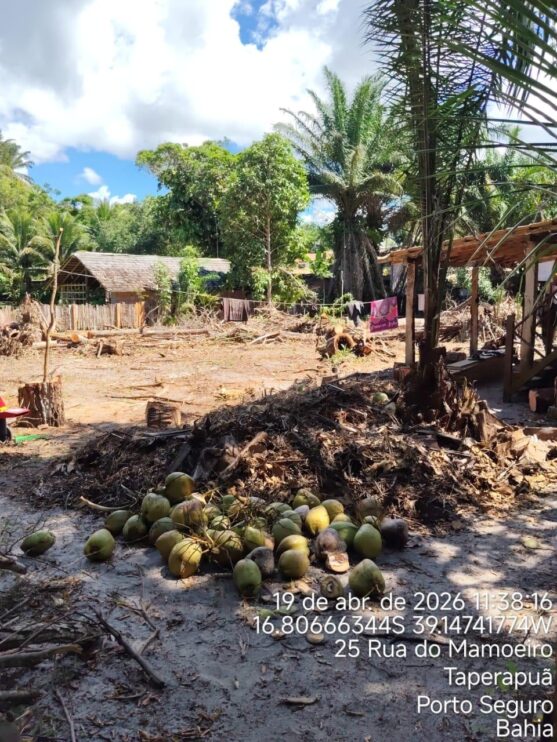 Fiscalização ambiental embarga área por desmatamento irregular em Caraíva, em Porto Seguro 15