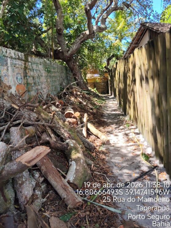 Fiscalização ambiental embarga área por desmatamento irregular em Caraíva, em Porto Seguro 16