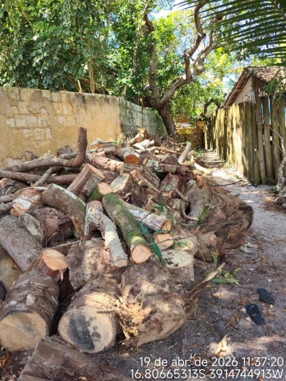 Fiscalização ambiental embarga área por desmatamento irregular em Caraíva, em Porto Seguro 13