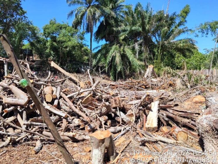 Fiscalização ambiental embarga área por desmatamento irregular em Caraíva, em Porto Seguro 12