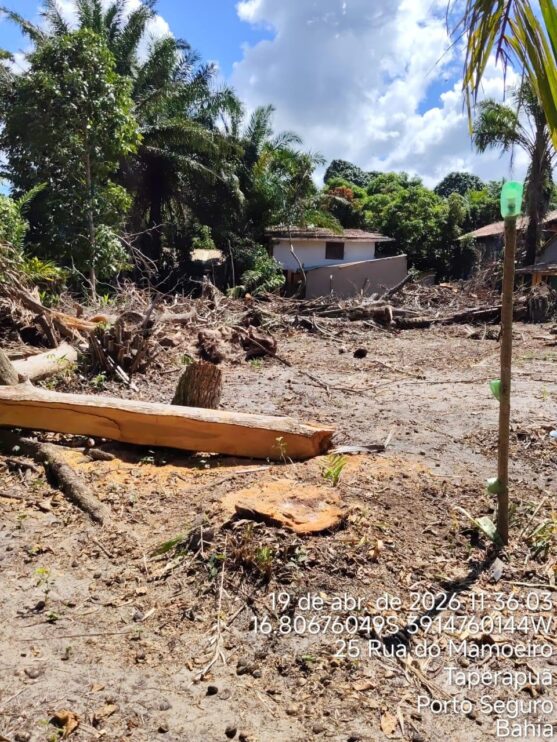 Fiscalização ambiental embarga área por desmatamento irregular em Caraíva, em Porto Seguro 14