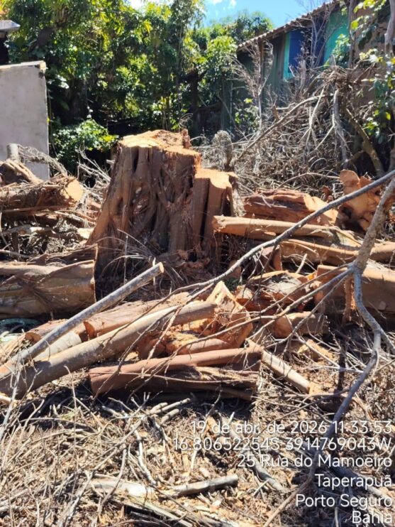 Fiscalização ambiental embarga área por desmatamento irregular em Caraíva, em Porto Seguro 10