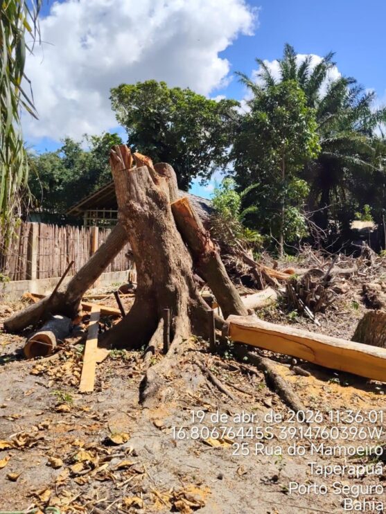 Fiscalização ambiental embarga área por desmatamento irregular em Caraíva, em Porto Seguro 11