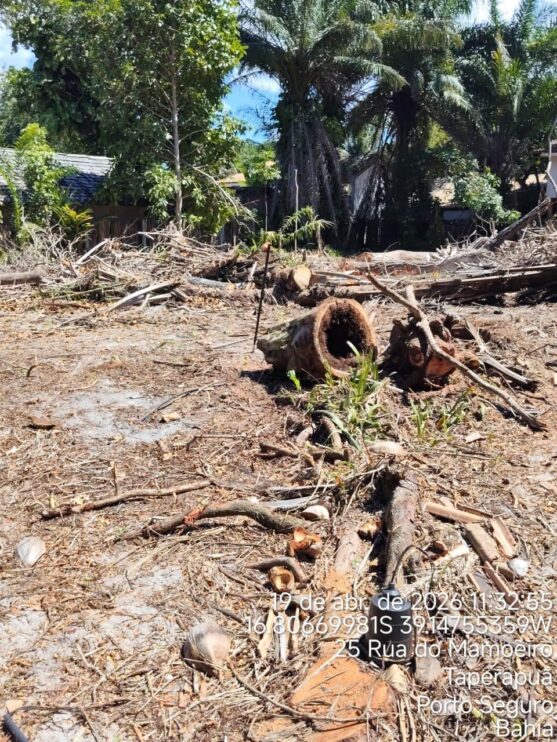 Fiscalização ambiental embarga área por desmatamento irregular em Caraíva, em Porto Seguro 8