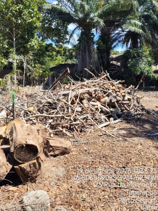 Fiscalização ambiental embarga área por desmatamento irregular em Caraíva, em Porto Seguro 9