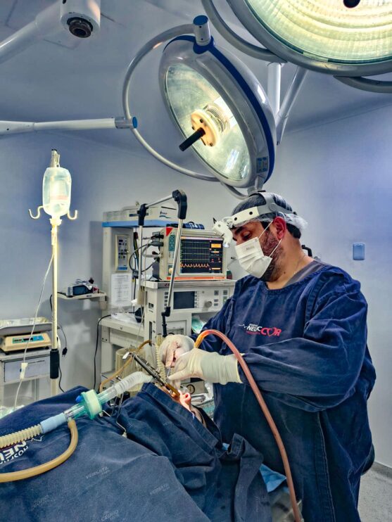 BARIÁTRICAS | Mais de 30 procedimentos em dois dias marcam avanço histórico na saúde de Porto Seguro 11