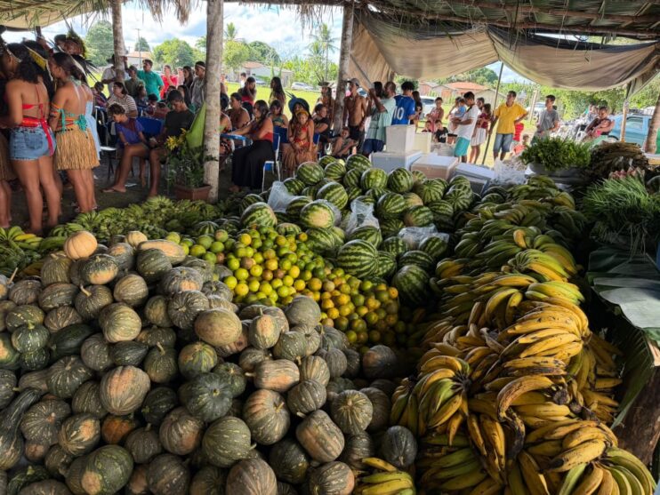 Programa de Aquisição de Alimentos Indígenas é retomado em Porto Seguro e fortalece comunidades Pataxó 15