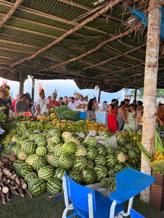 Programa de Aquisição de Alimentos Indígenas é retomado em Porto Seguro e fortalece comunidades Pataxó 16