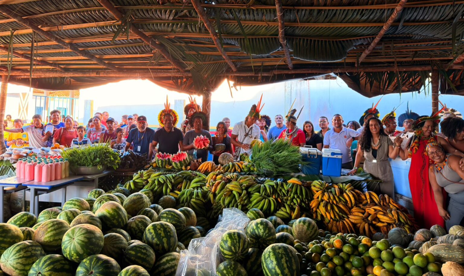 Programa de Aquisição de Alimentos Indígenas é retomado em Porto Seguro e fortalece comunidades Pataxó 9