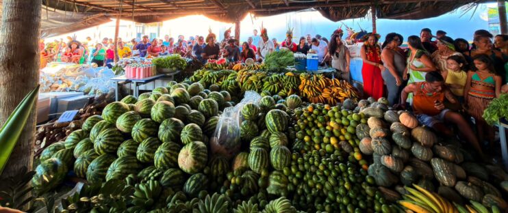 Programa de Aquisição de Alimentos Indígenas é retomado em Porto Seguro e fortalece comunidades Pataxó 12