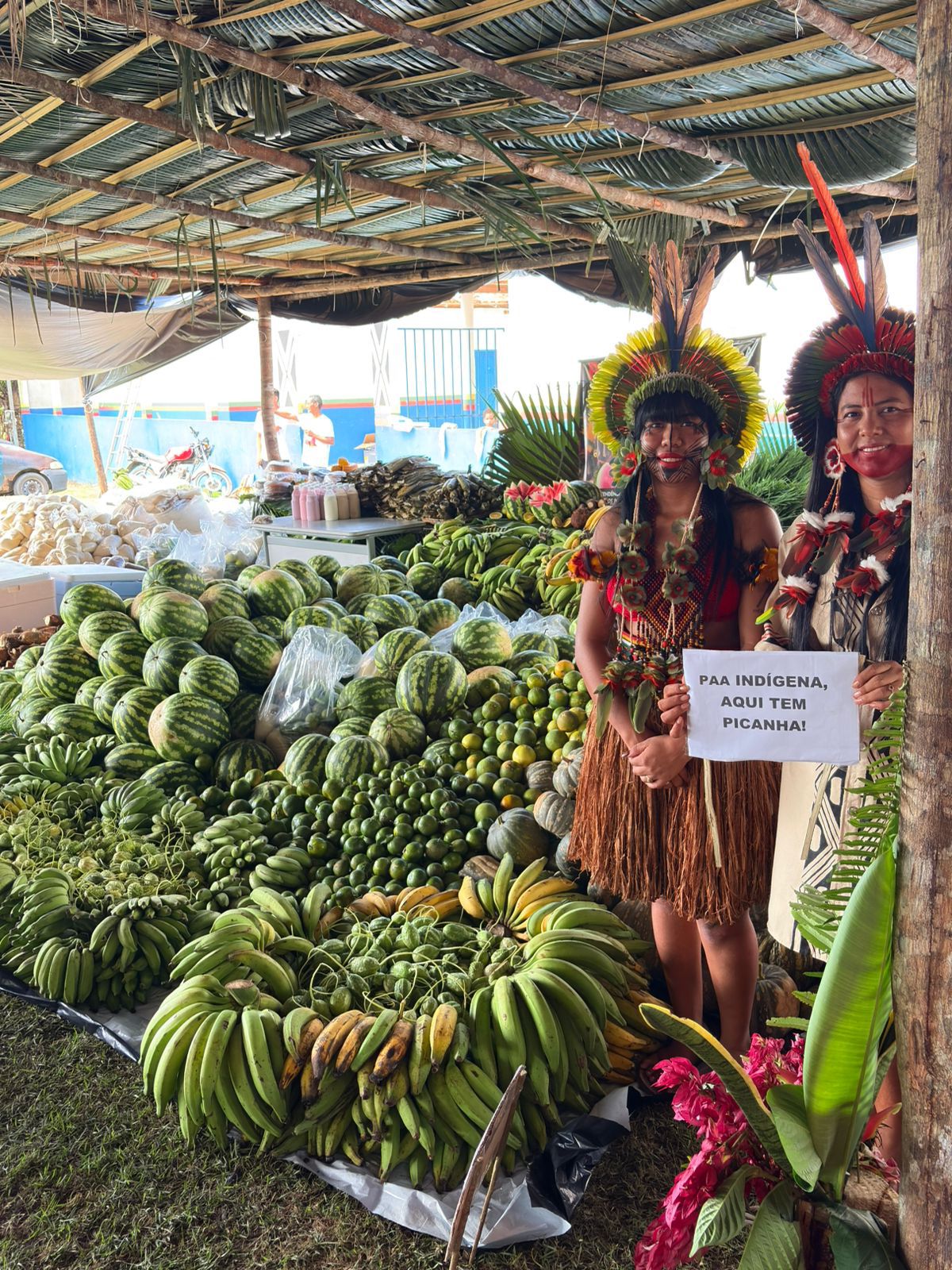 Programa de Aquisição de Alimentos Indígenas é retomado em Porto Seguro e fortalece comunidades Pataxó 8