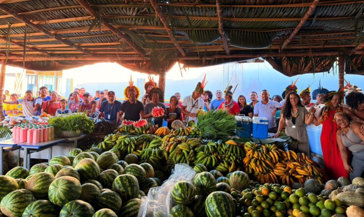 Programa de Aquisição de Alimentos Indígenas é retomado em Porto Seguro e fortalece comunidades Pataxó 4
