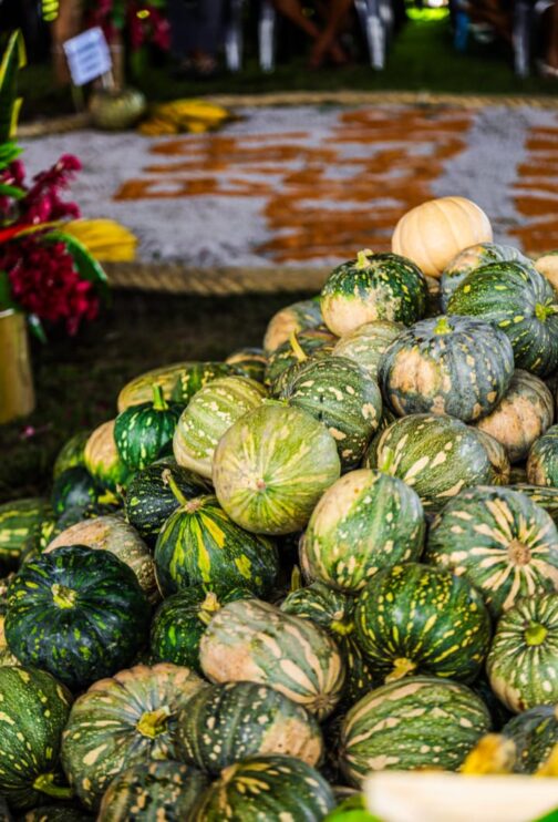 Programa de Aquisição de Alimentos Indígenas é retomado em Porto Seguro e fortalece comunidades Pataxó 9