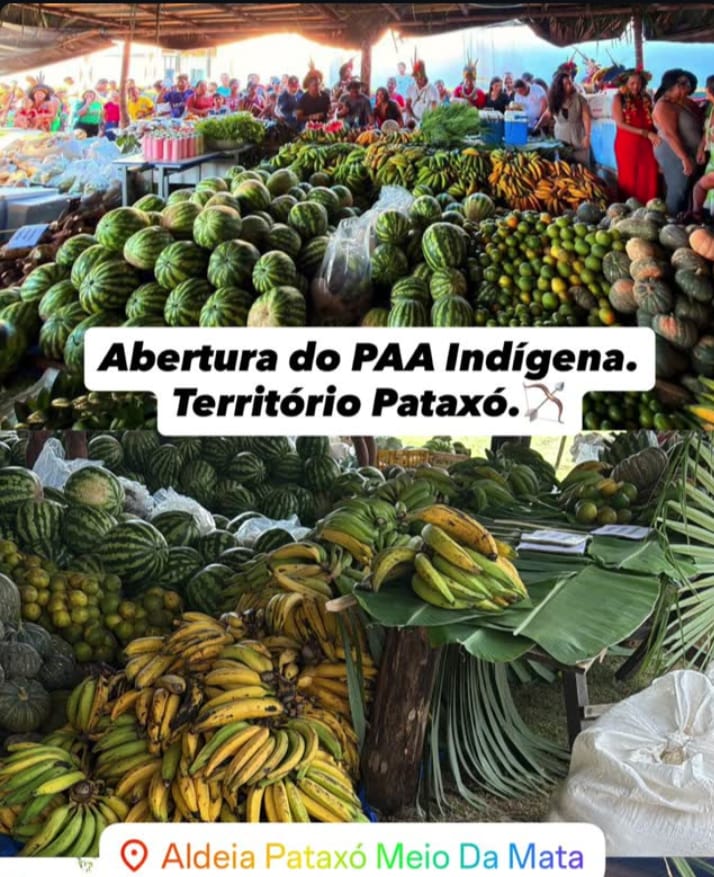 Programa de Aquisição de Alimentos Indígenas é retomado em Porto Seguro e fortalece comunidades Pataxó 7