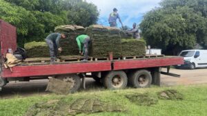 Quadrado de Trancoso recebe ação de revitalização com plantio de grama e cuidados paisagísticos Quadrado de Trancoso recebe ação de revitalização com plantio de grama e cuidados paisagísticos 1