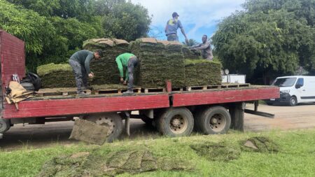 Quadrado de Trancoso recebe ação de revitalização com plantio de grama e cuidados paisagísticos Quadrado de Trancoso recebe ação de revitalização com plantio de grama e cuidados paisagísticos 5