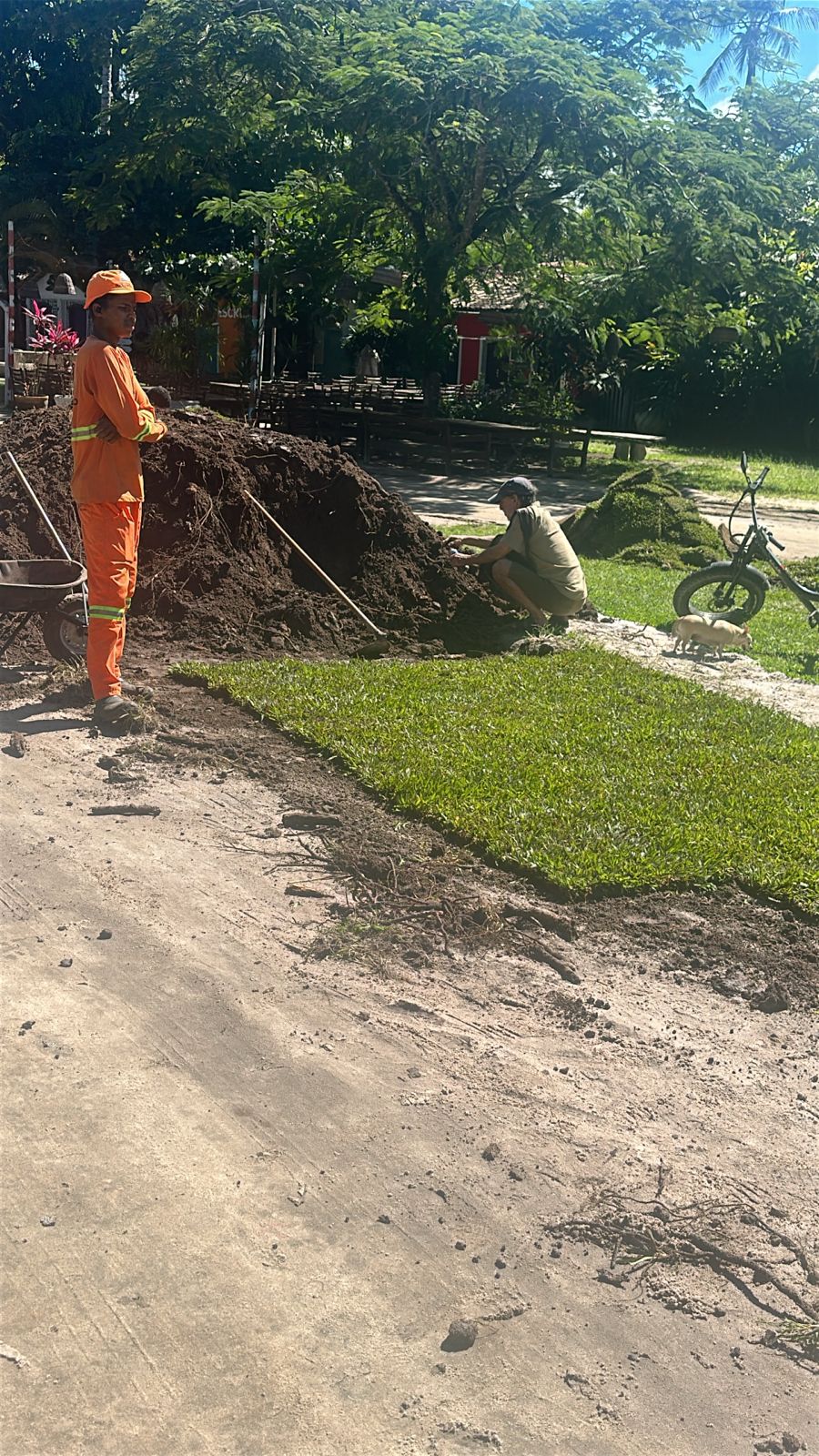 Quadrado de Trancoso recebe ação de revitalização com plantio de grama e cuidados paisagísticos 6