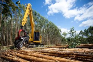 Mês do Meio Ambiente: Suzano garante descarte correto de baterias nas operações florestais Mês do Meio Ambiente: Suzano garante descarte correto de baterias nas operações florestais 2