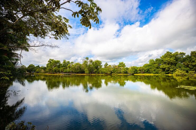 Prefeitura de Eunápolis celebrou o Dia Mundial do Meio Ambiente com ação no Parque Gravatá e participação de estudantes 30