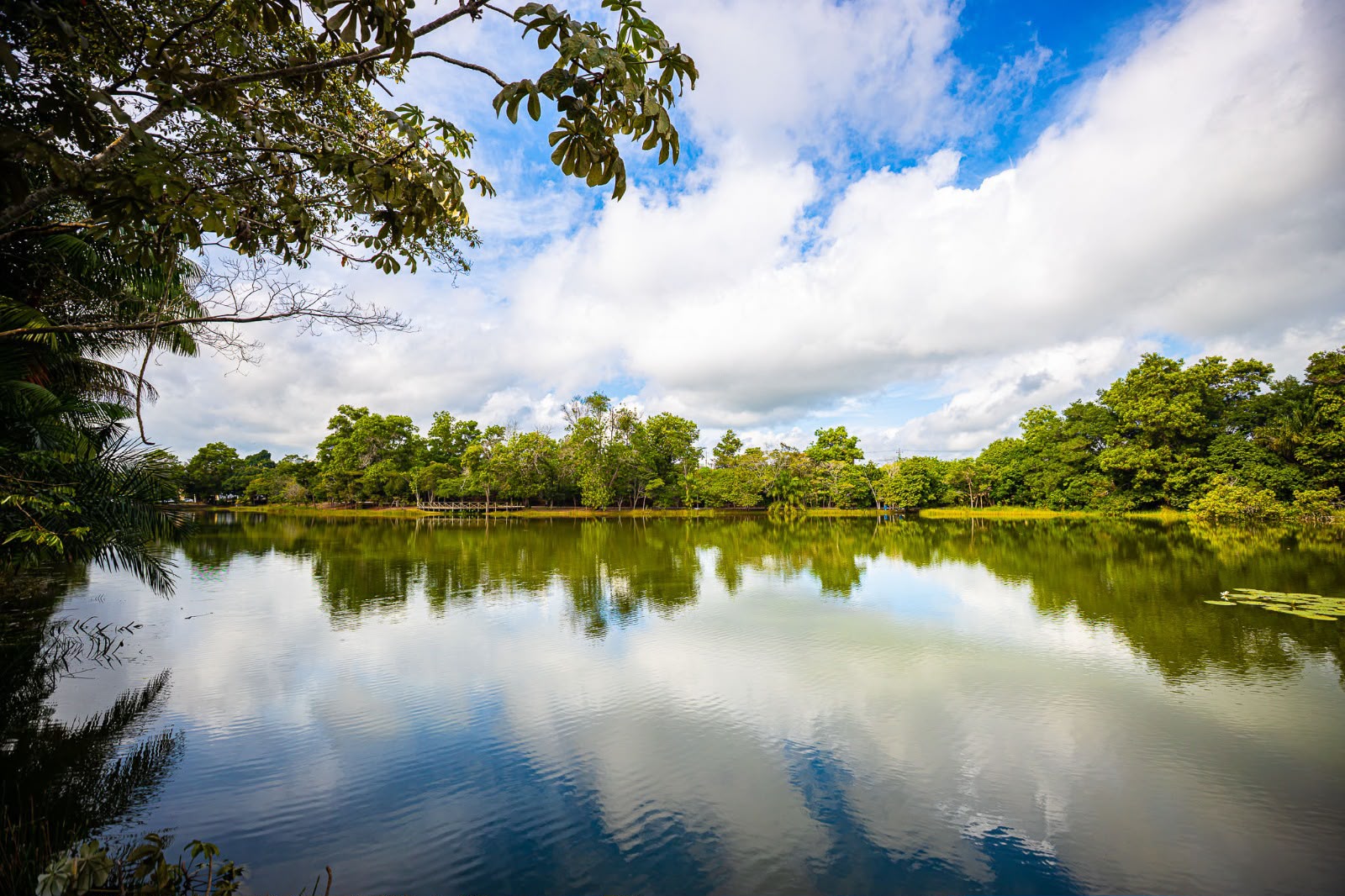 Prefeitura de Eunápolis celebrou o Dia Mundial do Meio Ambiente com ação no Parque Gravatá e participação de estudantes 7
