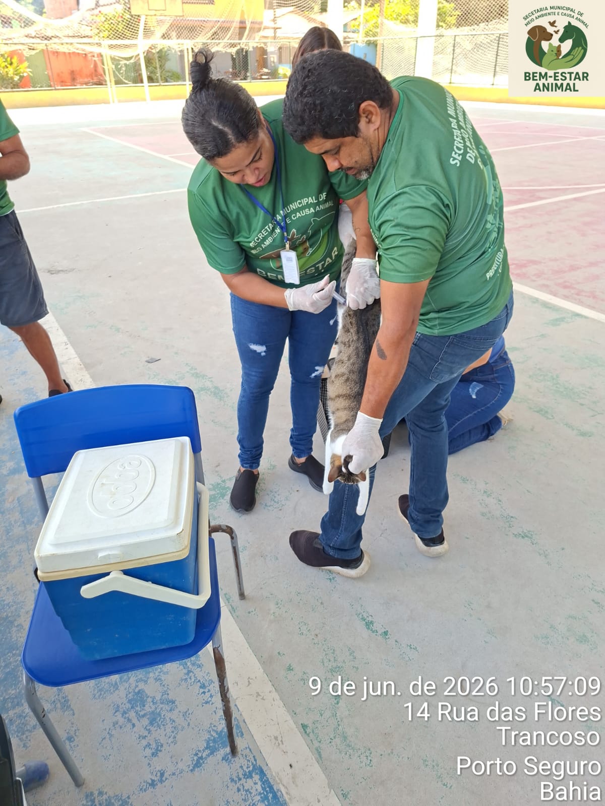 Centro de Trancoso recebe ação de vacinação e atendimento veterinário 7