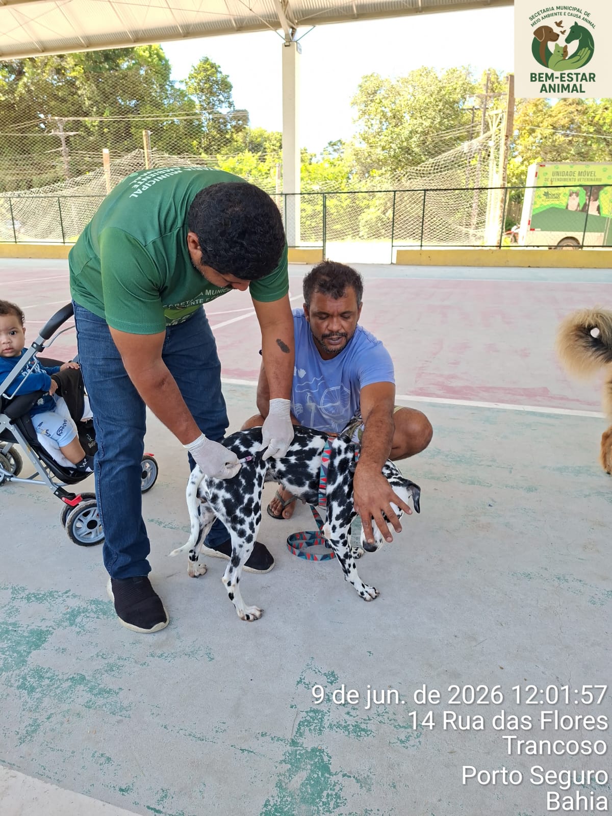 Centro de Trancoso recebe ação de vacinação e atendimento veterinário 6