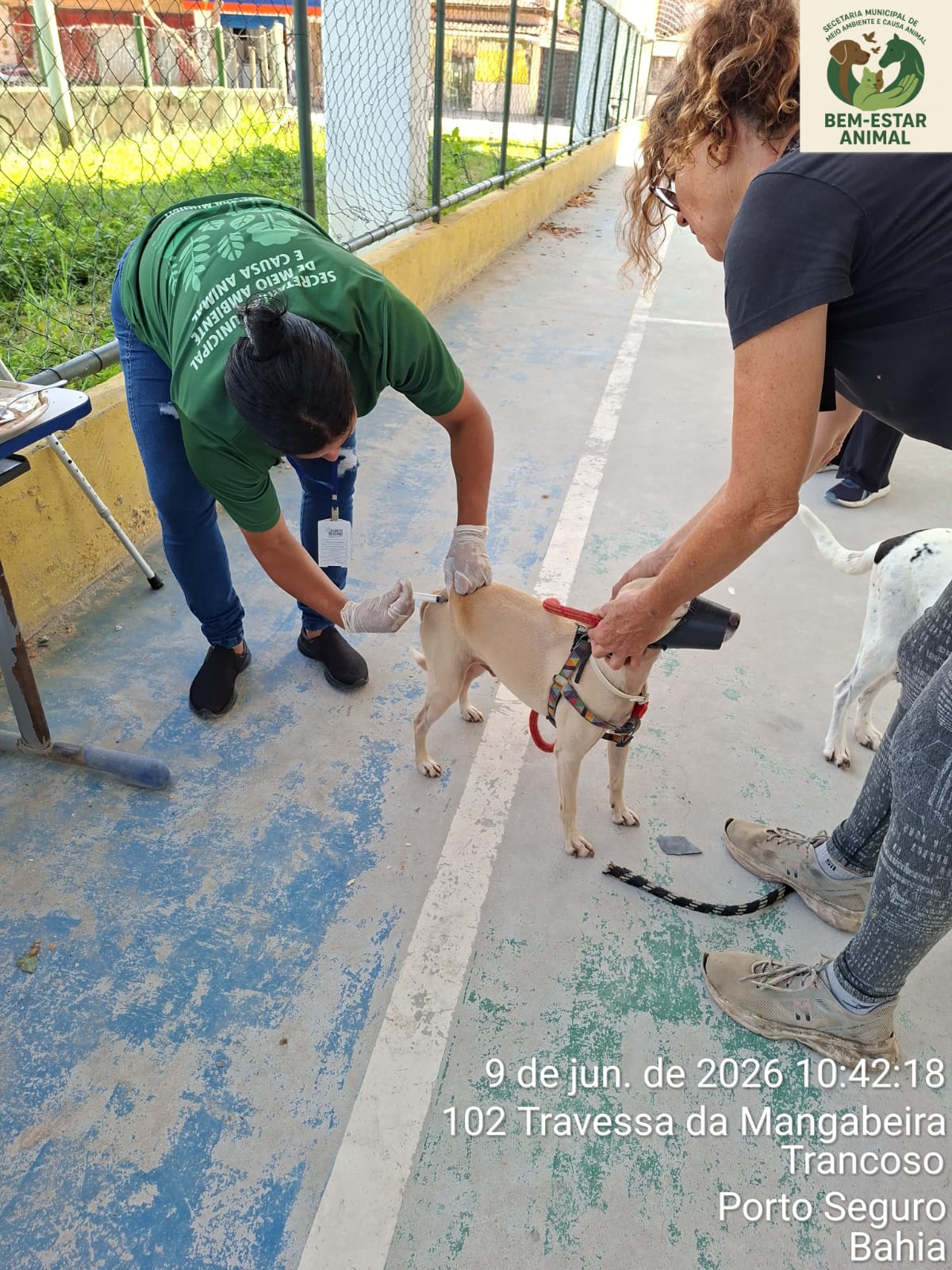 Centro de Trancoso recebe ação de vacinação e atendimento veterinário 8